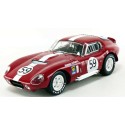 1/18 COBRA Daytona N°59 Le Mans 1965 SHELBY