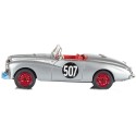 1/43 SUNBEAM Alpine N°507 Coupes Des Alpes 1953 SUNBEAM