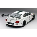 1/18 BENTLEY GT3 N°08 Pirelli World Challenge Sonoma Dyson Racing 2014