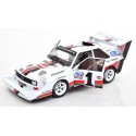 1/18 AUDI S1 N°1 Pikes Peak 1987