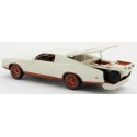 1/43 MERCURY Montego Sportshauler Concept 1971