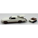 1/43 MERCURY Montego Sportshauler Concept 1971