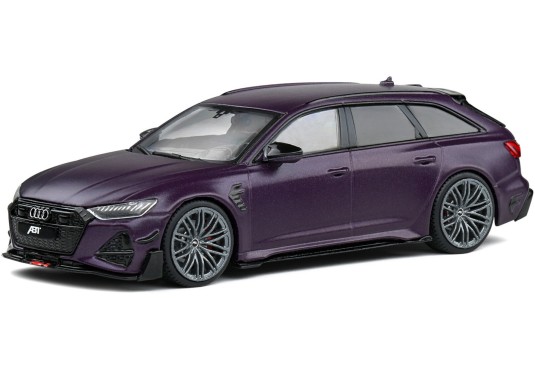 1/43 AUDI RS 6 R (C8) 2022