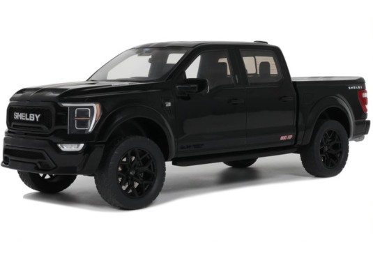 1/18 FORD Shelby F-150...