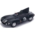 JAGUAR Type D N°19 12 Heures Sebring 1955 JAGUAR