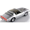 1/18 PONTIAC Firebird T/A "Joe Dirt" 1979 PONTIAC