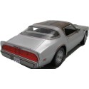 1/18 PONTIAC Firebird T/A "Joe Dirt" 1979 PONTIAC