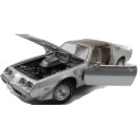 1/18 PONTIAC Firebird T/A "Joe Dirt" 1979 PONTIAC