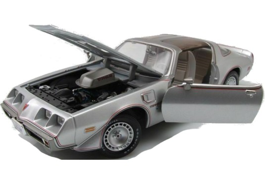 1/18 PONTIAC Firebird T/A "Joe Dirt" 1979 PONTIAC