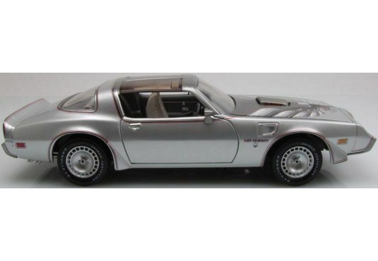 1/18 PONTIAC Firebird T/A "Joe Dirt" 1979 PONTIAC