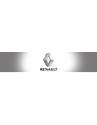 RS Automobiles I RENAULT I La passion de l'automobile