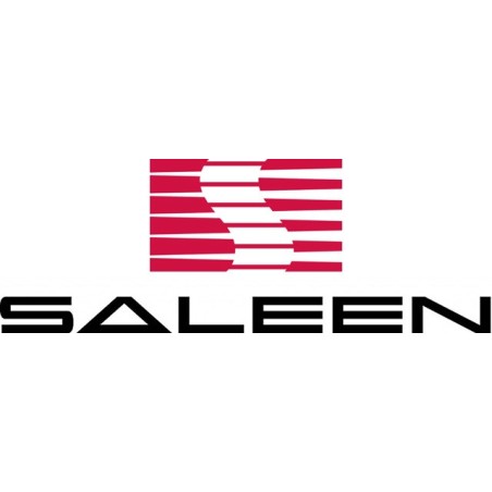 SALEEN